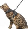 PUPTECK Cat Harness Leash Set, Escape Proof