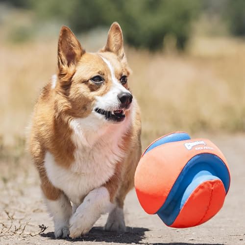 Chuckit! Kick Fetch Ball Dog Toy, Large - Image 4