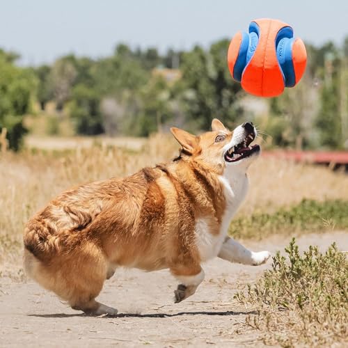 Chuckit! Kick Fetch Ball Dog Toy, Large - Image 5