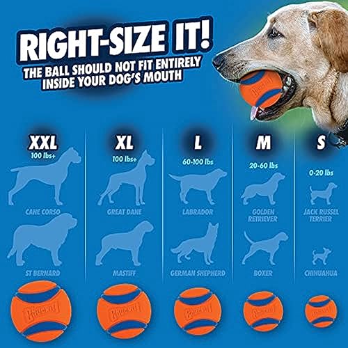 Chuckit! Ultra Ball Dog Toy - Small Bouncy Fetch Balls - Image 5