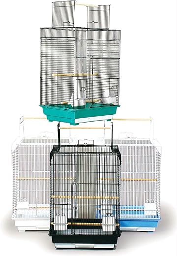 PH Prevue Hendryx Cockatiel Playtop Bird Cage