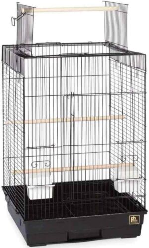 PH Prevue Hendryx Cockatiel Playtop Cage