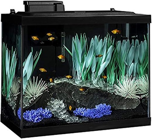 Tetra ColorFusion 20 Gallon Fish Tank Kit
