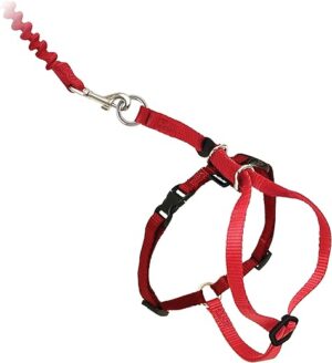 PetSafe Come With Me Kitty Harness, CWMK-M-RED