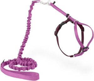 PetSafe Come With Me Kitty Harness, Large