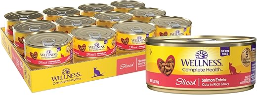 Wellness Complete Health Grain Free Canned Cat Food, Salmon, 5.5 Oz (Pack of 24)
