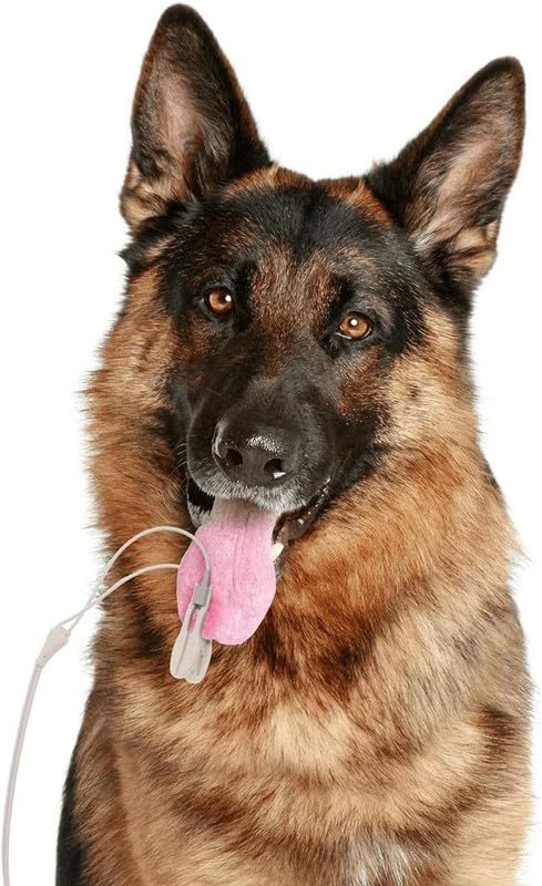 CONTEC Animal Automatic Blood Pressure Monitor CONTEC08A-VET - Image 2