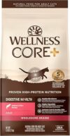 Wellness CORE+ Digestive Health Cat Food, Salmon & Rice