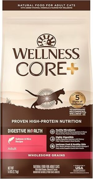 Wellness CORE+ Digestive Health Cat Food, Salmon & Rice
