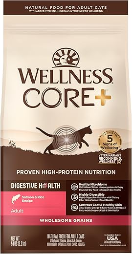 Wellness CORE+ Digestive Health Cat Food, Salmon & Rice