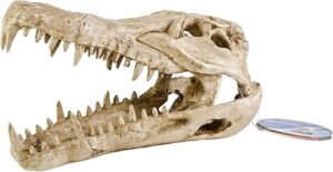 Penn-Plax Crocodile Skull Resin Ornament (RR1065)