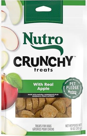 Nutro Crunchy Dog Treats With Apple, 16 oz