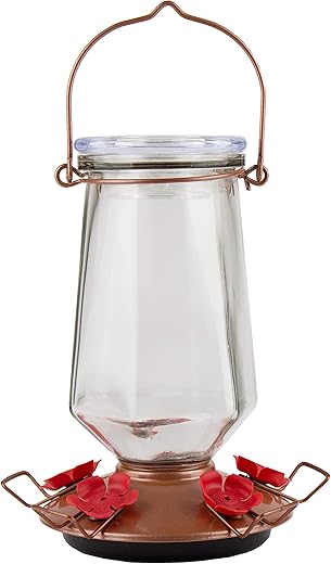 Perky-Pet Crystal Top-Fill Glass Hummingbird Feeder 9109-1SR
