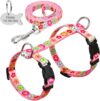 SOCHII Customized Pink Cat Kitten Harness Leash Set