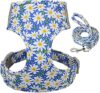 YUEHAN Cute Printed Pet Harness And Leash Set