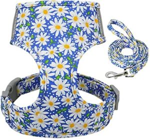 YUEHAN Cute Printed Pet Harness And Leash Set
