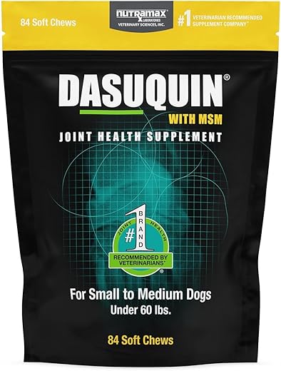 Nutramax Laboratories Dasuquin With MSM Joint Supplement For Dogs
