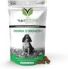 VETRISCIENCE Derma Strength Skin & Coat Chews for Dogs