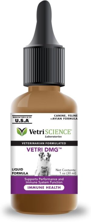 VETRISCIENCE DMG Liquid 30mL Dropper - Immune Support