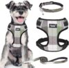 PUPTECK Dog Harness Leash Collar Set, Green, M
