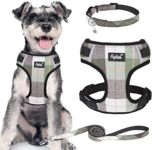 PUPTECK Dog Harness Leash Collar Set, Green, M