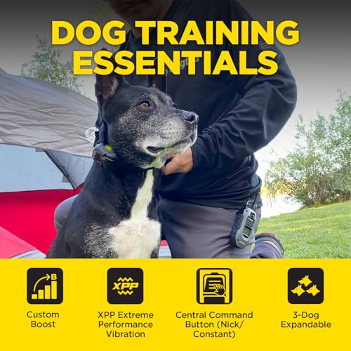 Dogtra 280X E-Collar With Remote, 1/2 Mile Range - Image 5