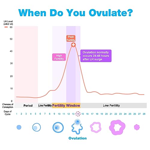 Easy@Home Ovulation & Pregnancy Tests + Thermometer EBT-018 - Image 4