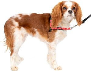 PetSafe Easy Walk Deluxe No Pull Harness, Small, Rose