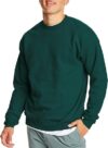 Hanes EcoSmart Cotton-Blend Crewneck Sweatshirt