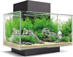 Fluval Edge Aquarium Kit, 6 Gallon, Black