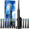 TEETHEORY Electric Toothbrush With Holder & Heads