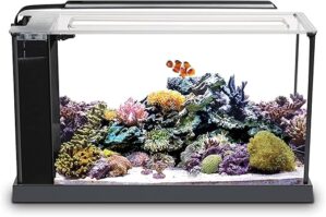 Fluval Evo V Saltwater Aquarium Kit, Black, 10528A1