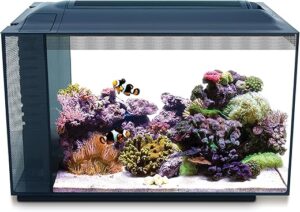Fluval Evo XII Saltwater Aquarium Kit, 13.5 Gal