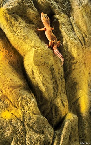 Exo Terra Background 12-Inch By 18-Inch PT2951A3 - Image 3