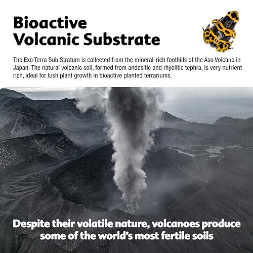 Exo Terra Bioactive Volcanic Substrate for Terrariums - Image 3
