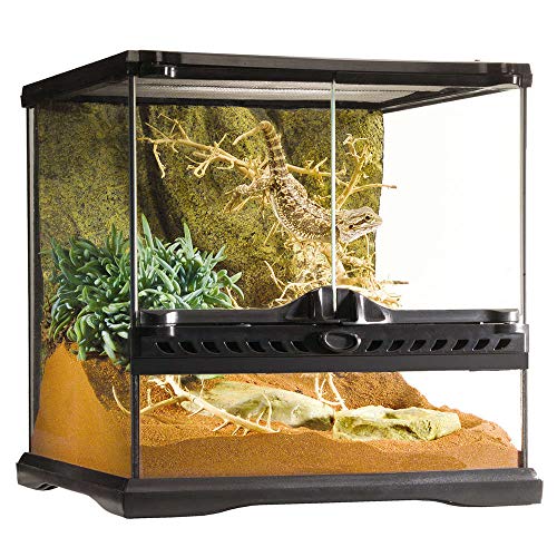 Exo Terra Exo Terra Glass Terrarium Kit, Mini PT2600A1 - Image 2