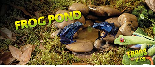 Exo Terra Frog Pond Amphibian Terrarium Water Source - Image 2