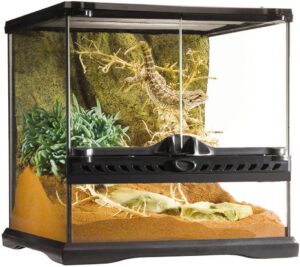 Exo Terra Exo Terra Glass Terrarium Kit, Mini PT2600A1