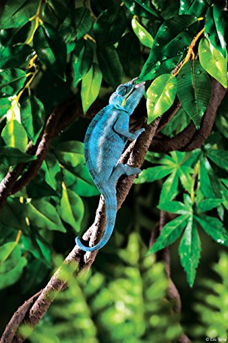 Exo Terra Jungle Vine, Reptile Decoration, PT3085 - Image 2