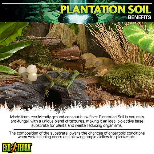 Exo Terra Plantation Soil, 8 Quarts - 3 Count - Image 3