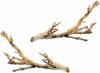 Exo Terra Exo Terra Small Forest Branch, 2 Pack
