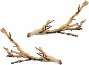 Exo Terra Exo Terra Small Forest Branch, 2 Pack