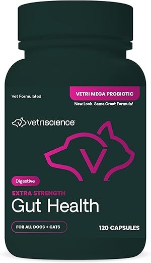 VETRISCIENCE Extra Strength Gut Health Capsules, 7.5 Billion CFU