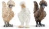 Schleich Farm World Realistic Chickens Playset