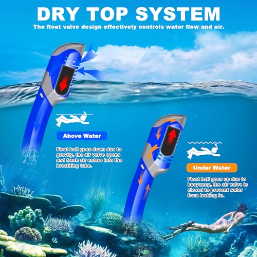 Felidel Adult Snorkel Mask Set With Panoramic View - Image 3