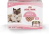 Royal Canin Feline Health Nutrition Ultra Soft Mousse, 3 oz, 6 Pack