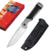 Kizer Fixed Blade Knife With Sheath 1067M1