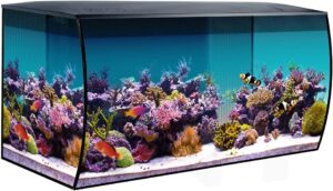 Fluval Flex 32.5 Marine Saltwater Aquarium Kit