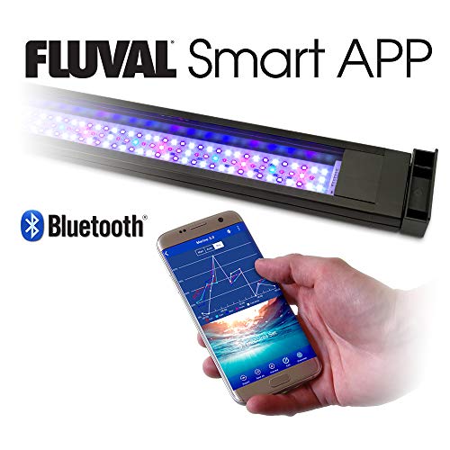 Fluval Flex 32.5 Marine Saltwater Aquarium Kit - Image 5