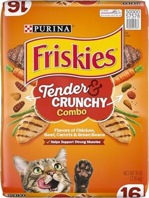 Friskies Friskies Dry Cat Food, Tender & Crunchy